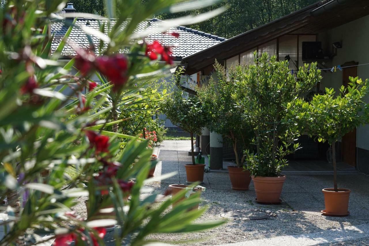 Northwest Studio Apartments Klagenfurt am Woerthersee Exterior photo